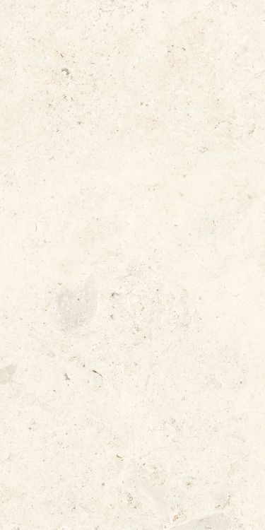 Lightstones.03 Shell Soft Touch 12 x 24